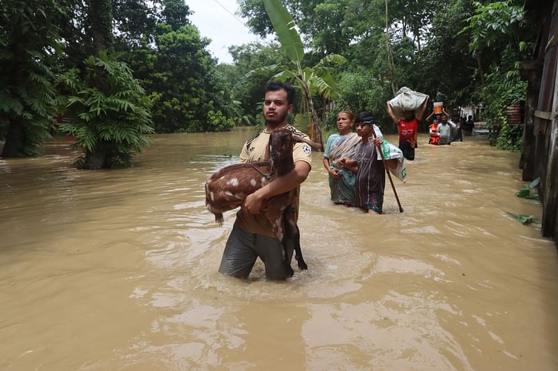 গোমতী নদীর বাঁধ ভেঙে তলিয়ে গেছে অনেক গ্রাম। যার যা কিছু আছে তাই নিয়ে নিরাপদ আশ্রয়ের দিকে ছুটছেন মানুষ। আজ শুক্রবার কুমিল্লা বুড়িচং উপজেলার ইছাপুর গ্রামে